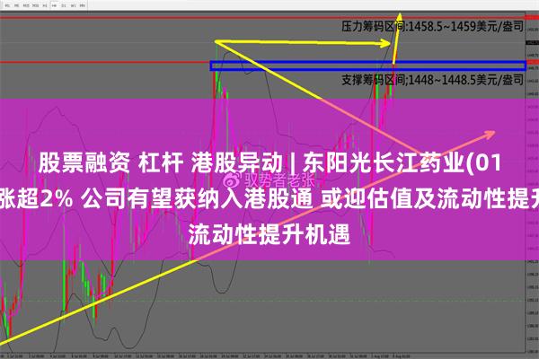 股票融资 杠杆 港股异动 | 东阳光长江药业(01558)涨超2% 公司有望获纳入港股通 或迎估值及流动性提升机遇