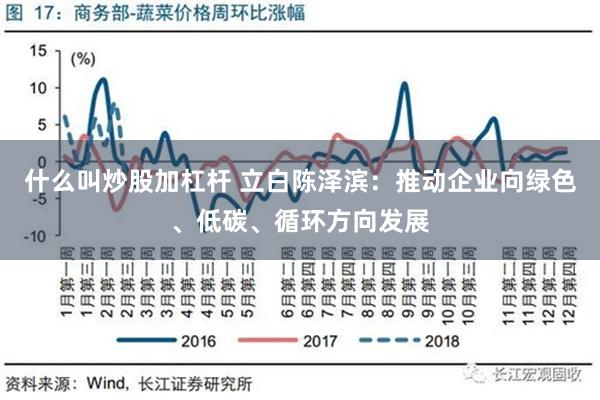 什么叫炒股加杠杆 立白陈泽滨：推动企业向绿色、低碳、循环方向发展