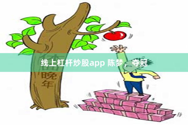 线上杠杆炒股app 陈梦，夺冠