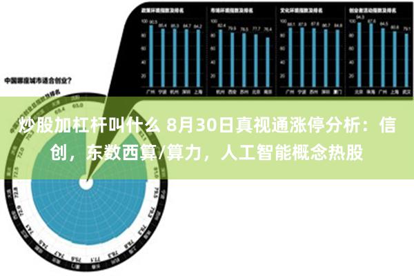 炒股加杠杆叫什么 8月30日真视通涨停分析：信创，东数西算/算力，人工智能概念热股