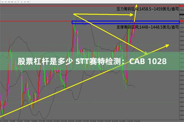 股票杠杆是多少 STT赛特检测：CAB 1028