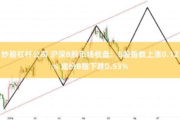 炒股杠杆公司 沪深B股市场收盘：B股指数上涨0.12% 成份B指下跌0.53%