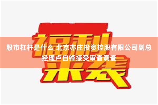 股市杠杆是什么 北京亦庄投资控股有限公司副总经理卢自锋接受审查调查